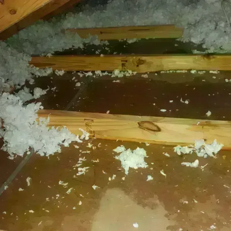 Attic Water Damage in Duryea, PA